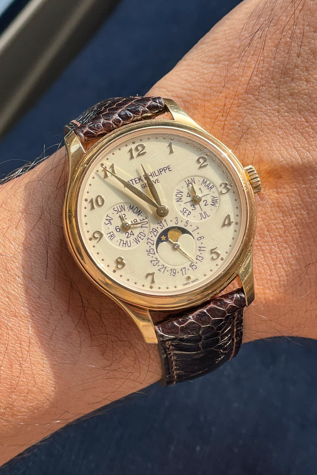 Dark Brown Ostrich Leg Leather Strap - Artisan Straps