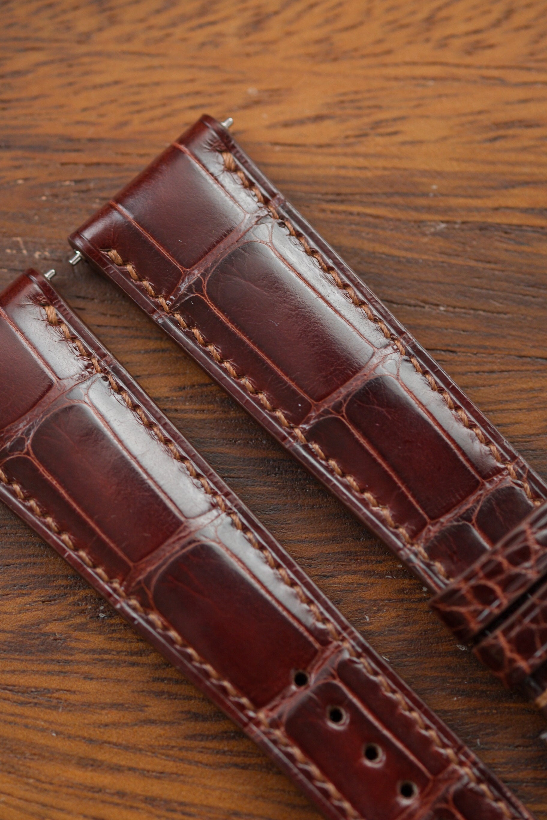 Correa de piel de cocodrilo esmaltada en color marrón castaño (acolchada)