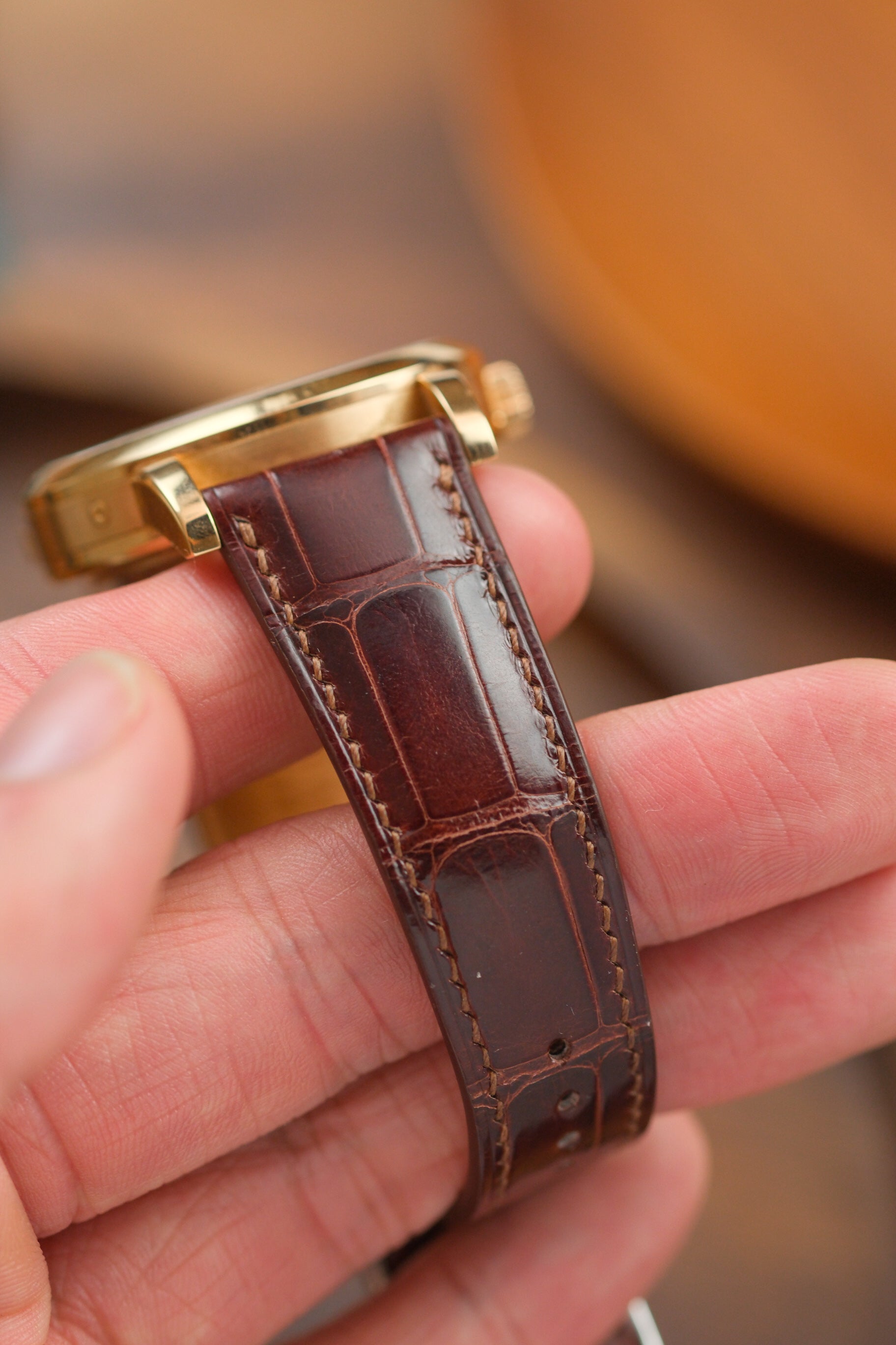 Correa de piel de cocodrilo esmaltada en color marrón castaño (acolchada)