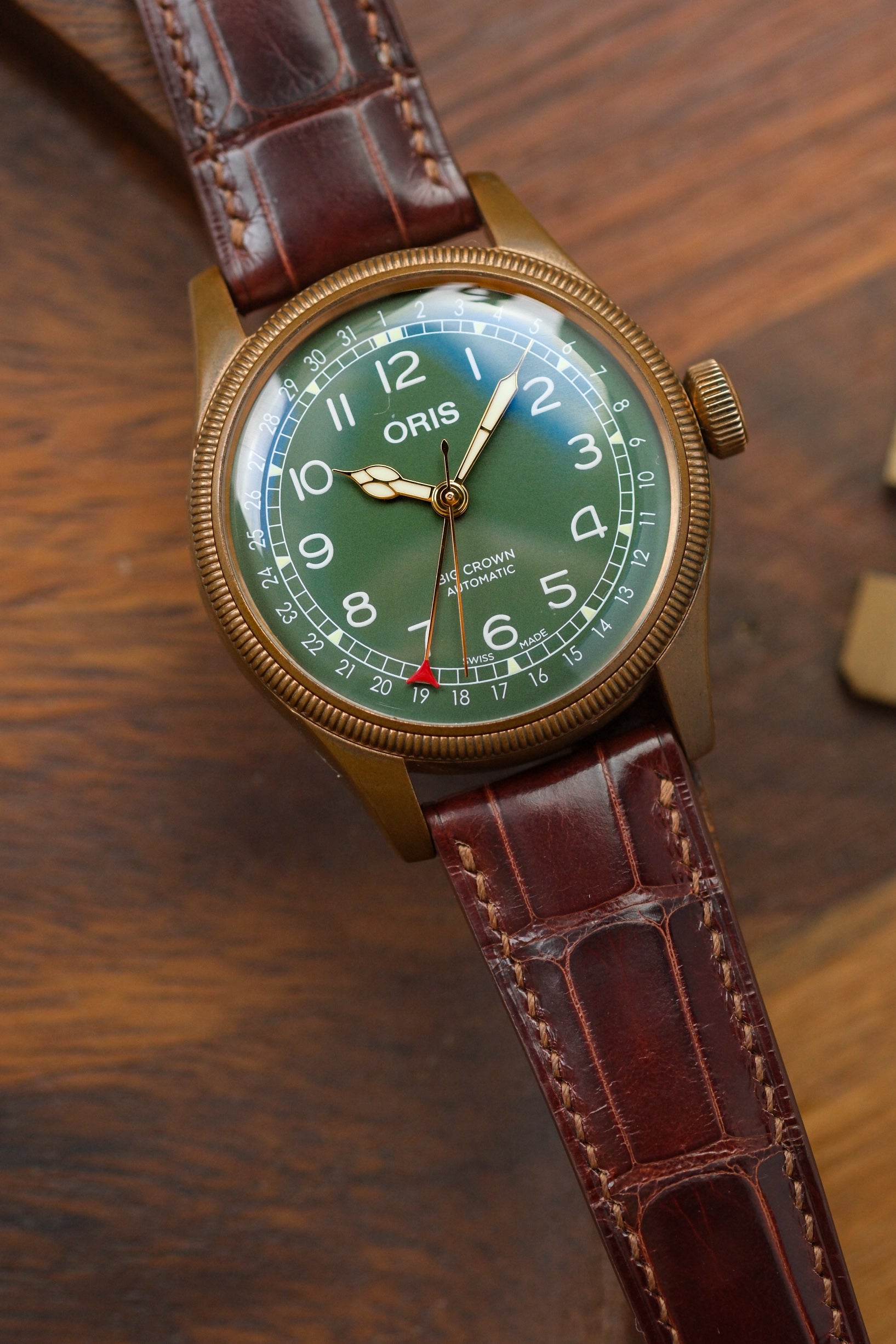 Correa de piel de cocodrilo esmaltada en color marrón castaño (acolchada)