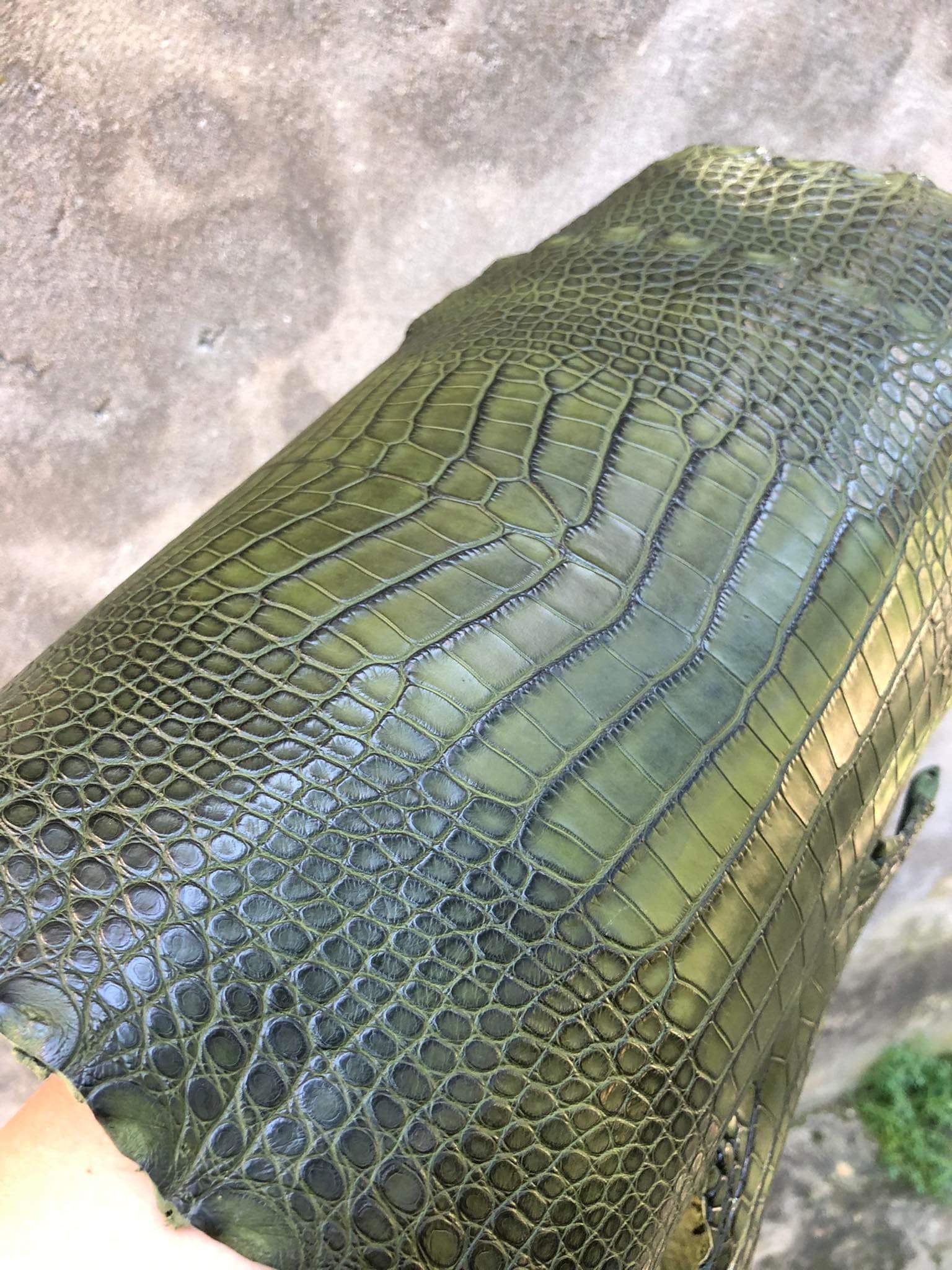 Antique Olive Alligator Leather Strap - Artisan Straps