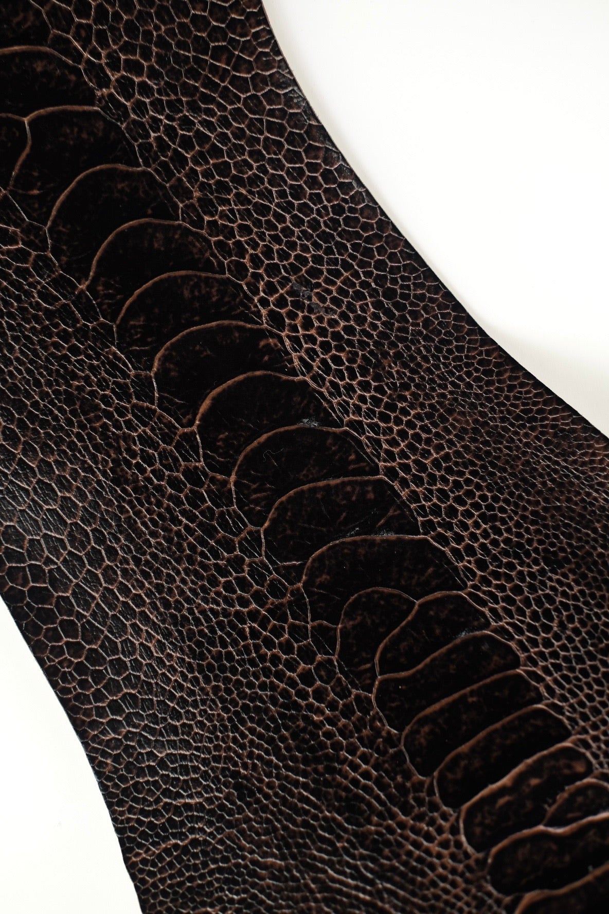 Ostrich Leg Leather Strap in Dark Brown - Artisan Straps
