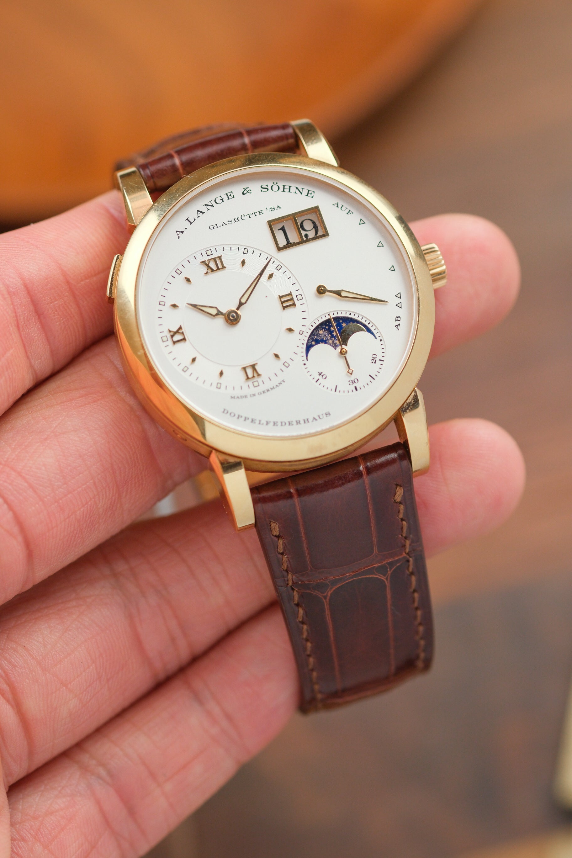 Correa de piel de cocodrilo esmaltada en color marrón castaño (acolchada)