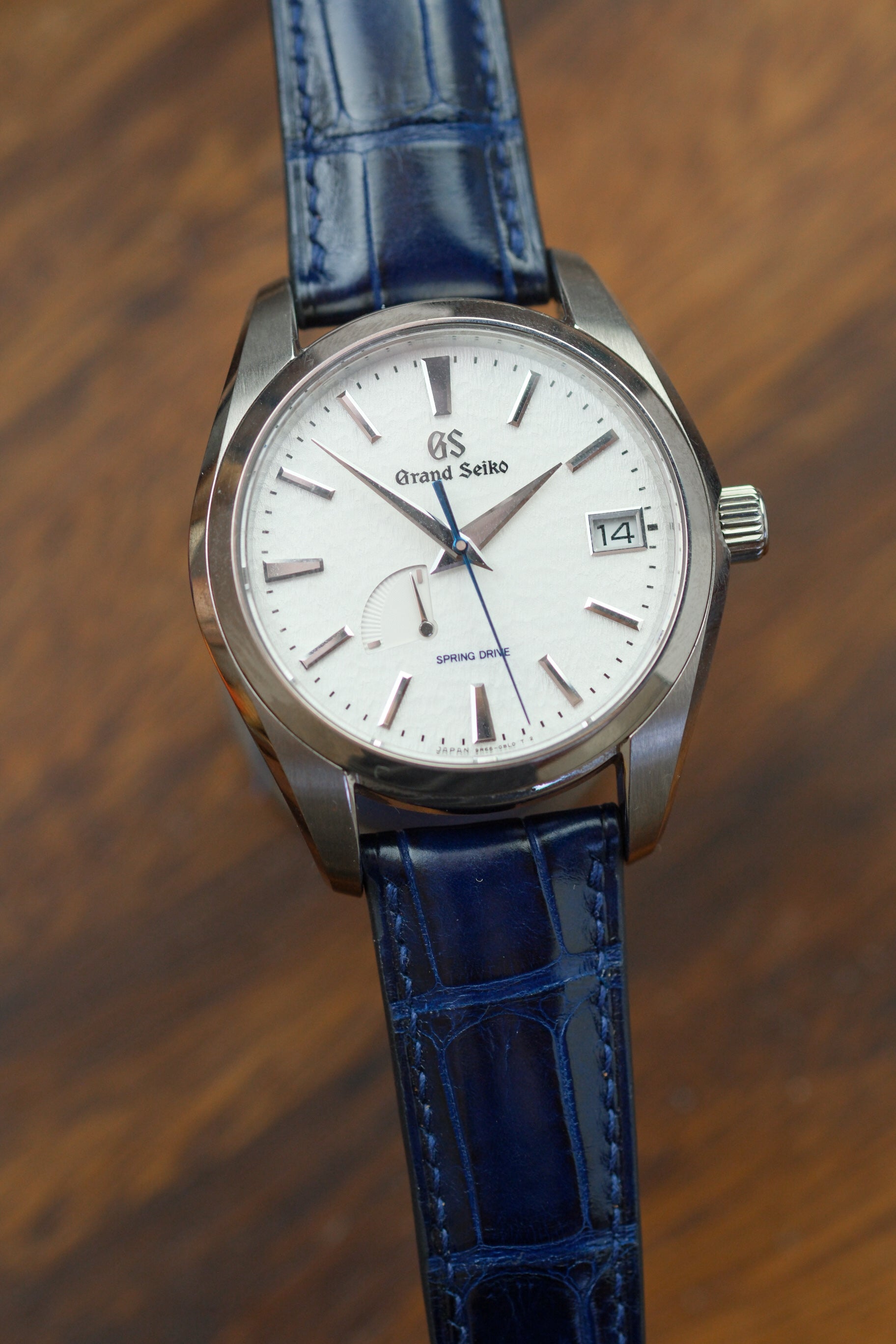 Correa de piel de aligátor Millenium azul eléctrico (acolchada)