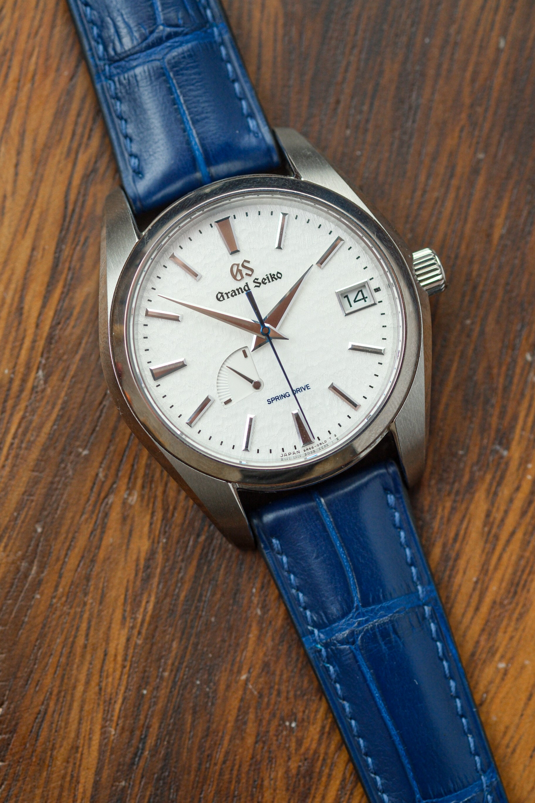 Correa de piel de caimán verde pino (acolchada)