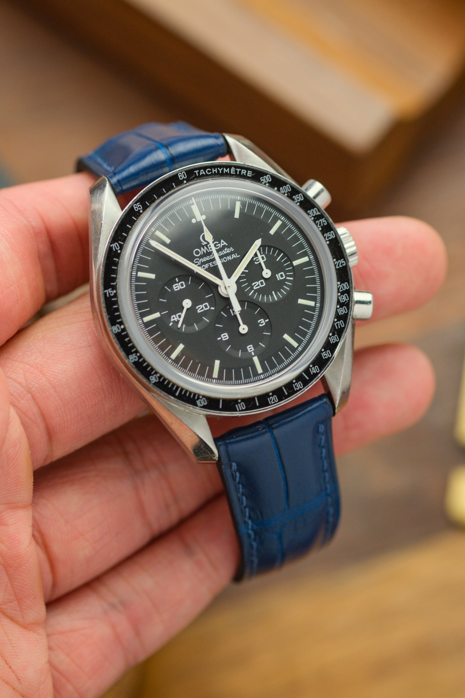 Correa de piel de caimán verde pino (acolchada)