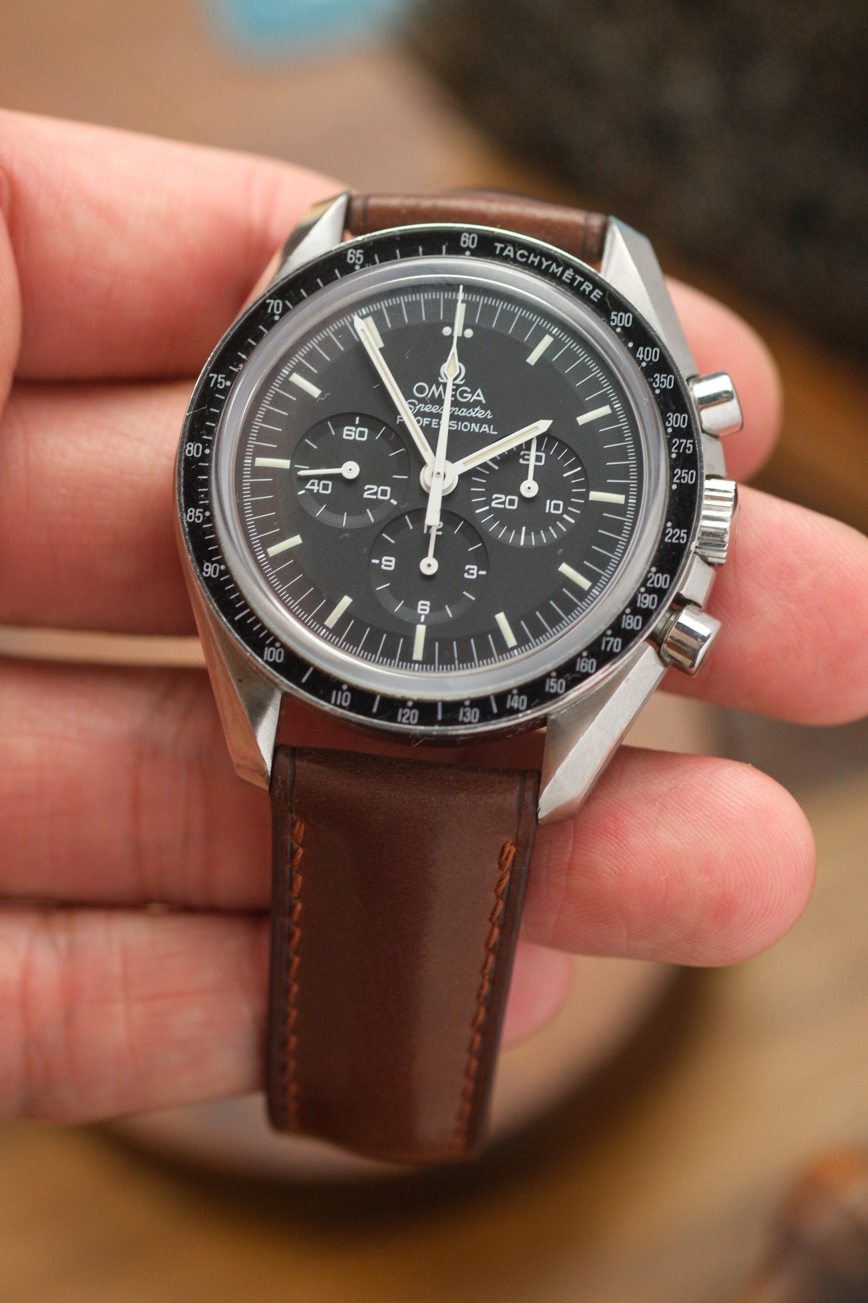 Correa de piel Horween Shell Cordovan (acolchada) de color 8 