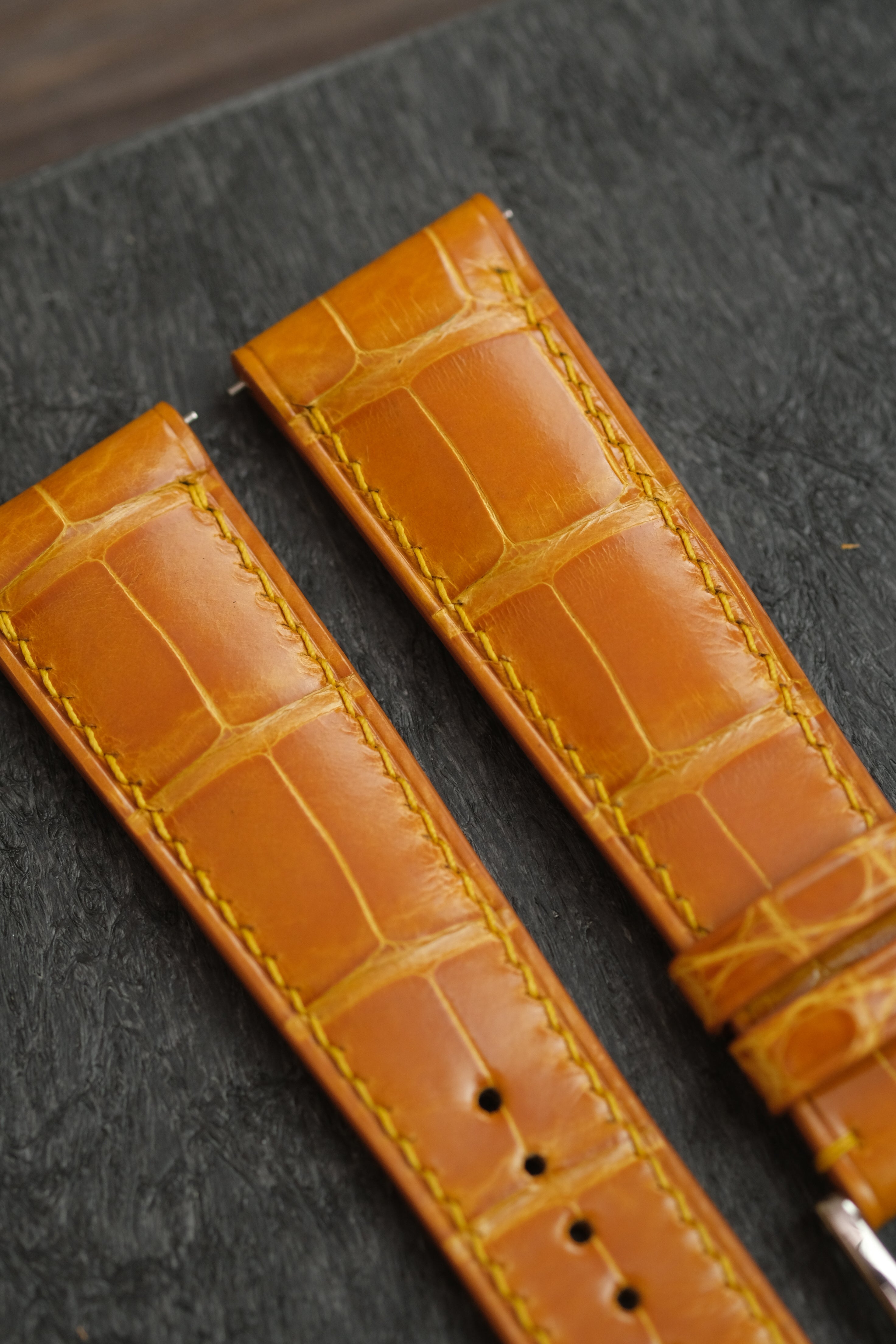 Correa de piel de caimán (acolchada) esmaltada en oro
