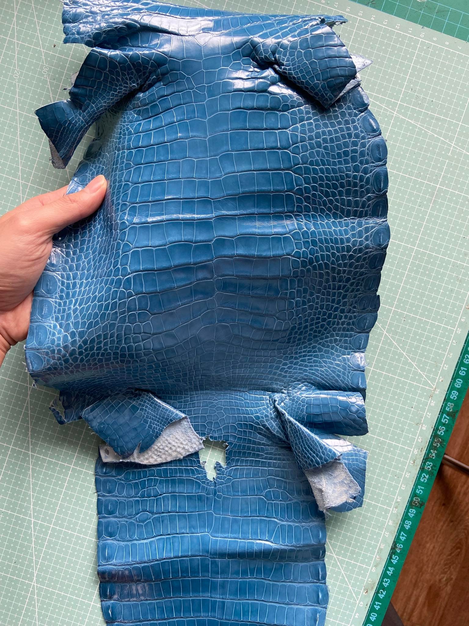 Sky Blue Glazed Alligator (Padded) Leather Strap