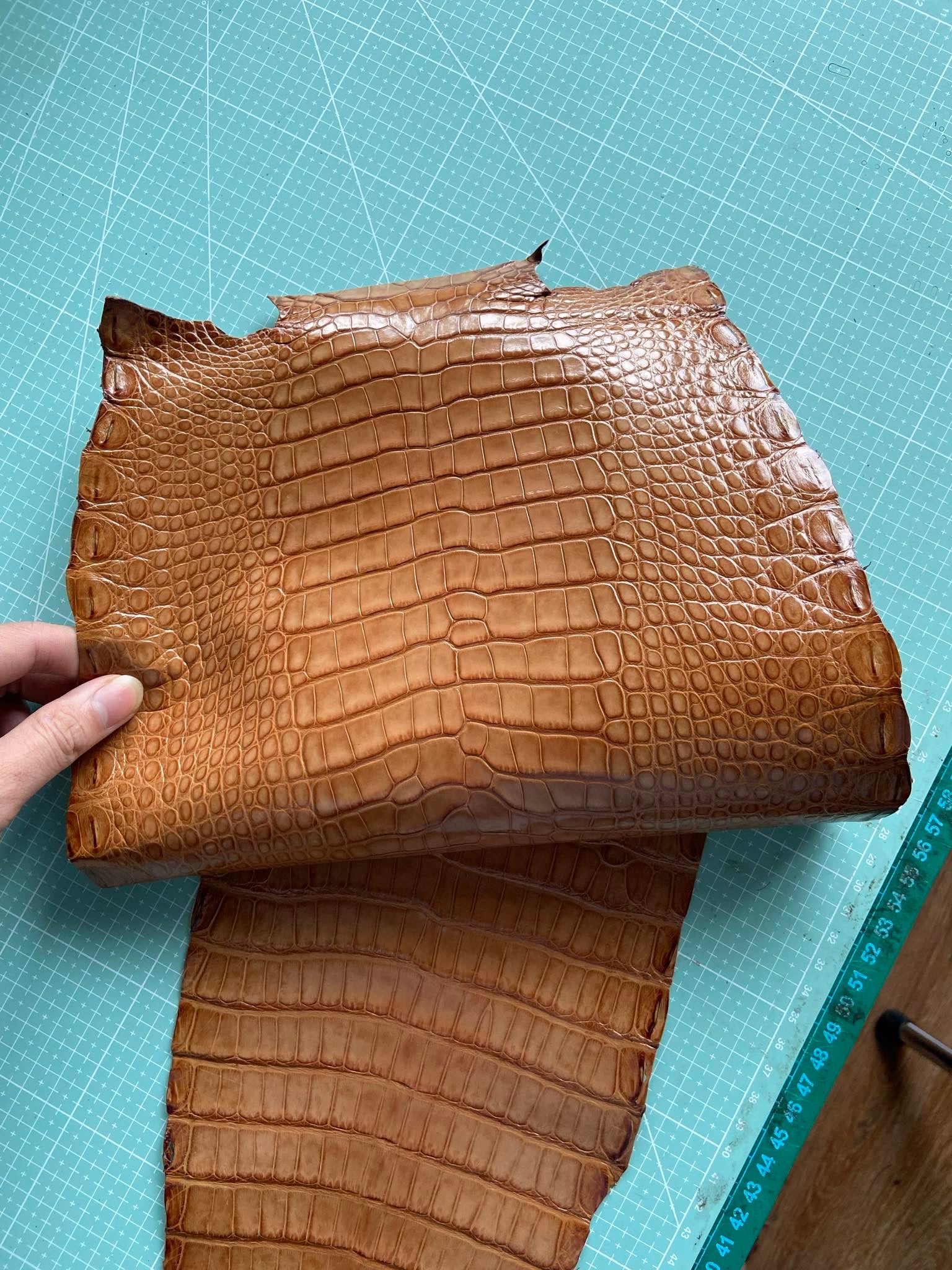 Tan Millenium Alligator (Padded) Leather Strap