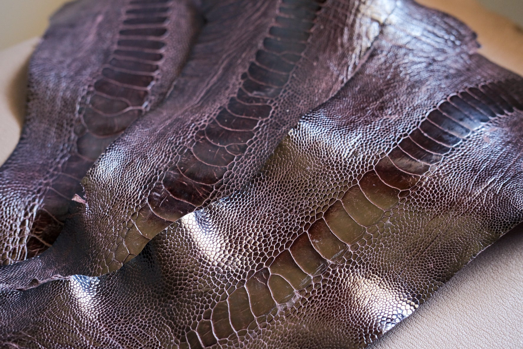 Glazed Ostrich Leather Strap in Bordeaux - Artisan Straps